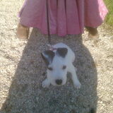 lady 10 weken