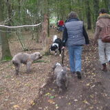 We hadden vandaag een Perro wandeling. Vandaar