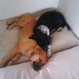 Samen lekker slapen