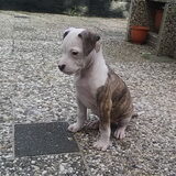chika mooi zitten