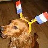 Bas was onze mascotte tijden K voetbal,heeft helaas niet geholpen