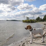 dus dit is nou het strand?!