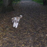 Lizzy en Masha in het bos