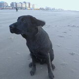 Blowing in the wind (7 maanden oud)