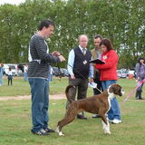 Higo chumbo D'Esglai op de Spaanse Jahressieger 2010