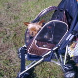 dat is nu mijne rolls roys se