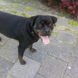 ojee baasje wil weer een foto maken hahaha