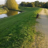 Foto van Juut & Brownie