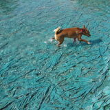 spelen in het water 27-06-10