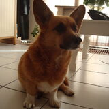Onze oude pittige tante Jill