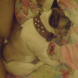 bailey