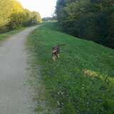 Foto van Juut & Brownie