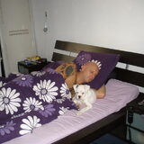 Lekker bij het baasje op bed