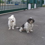 Ties en zn Franse vriendinnetje Abby