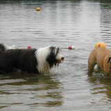 Duuk verliefd op Britt