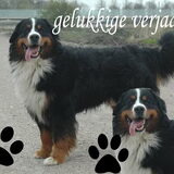 Foto van monique