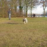 Foto van antoinet