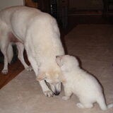 Aiko en Irza spelen.