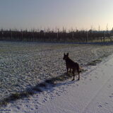 Kylie. Nog even van de avond genieten en dan naar huis.