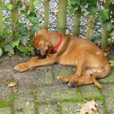Foto van kathleen en otis