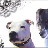 Foto van Claudia, Andor en Deamon