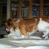 vlieg was al weg maar het blijf leuk