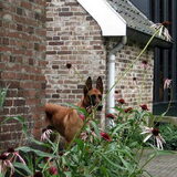 Foto van Katrin Bellyeu