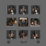 Bazil