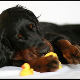 Foto van Maudy