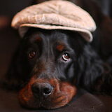 Foto van Maudy