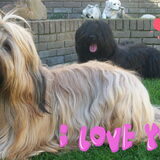 in love pupje verwacht van ons :-)
