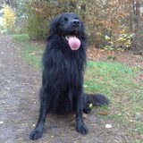 Foto van sonja