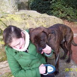 Een wandeling in het park !
