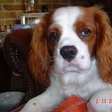 Foto van leony met Binky