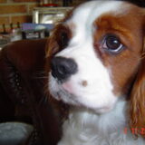 Foto van leony met Binky
