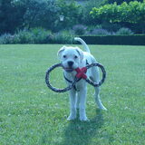 kisha in het park aan het spelen!