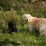 Wandeling samen met Tjeu! *3-11-2010*