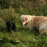 Wandeling samen met Tjeu! *3-11-2010*