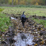 Wandeling samen met Tjeu! *3-11-2010*