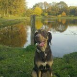 Foto van Juut & Brownie