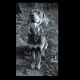 Foto van Juut & Brownie