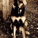 Foto van Juut & Brownie