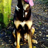 Foto van Juut & Brownie