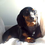 Reggie is de kleinste, tevens de meest ondernemende.