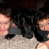 Drie Doerakken