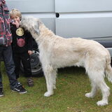 Nick wil wel z'n hondje hebben haha