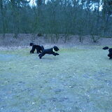 Foto van Mirjam en Curly Koda