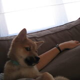 Are you talking to me? :p