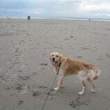Voor het eerst op het strand...wat is het hier groot!
