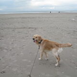 Foto van Mariska en Jip